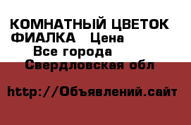 КОМНАТНЫЙ ЦВЕТОК -ФИАЛКА › Цена ­ 1 500 - Все города  »    . Свердловская обл.